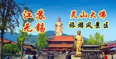 性生活无码网站江苏无锡灵山大佛旅游风景区